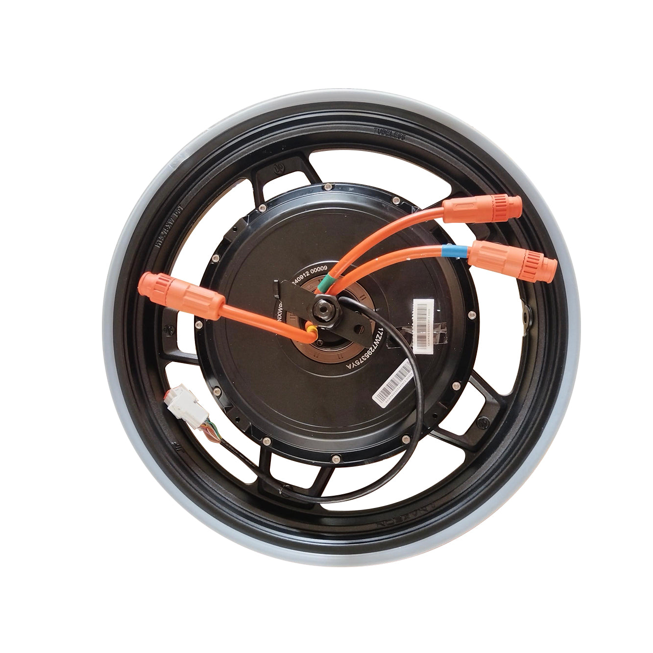 Rear Hub Motor Assy.