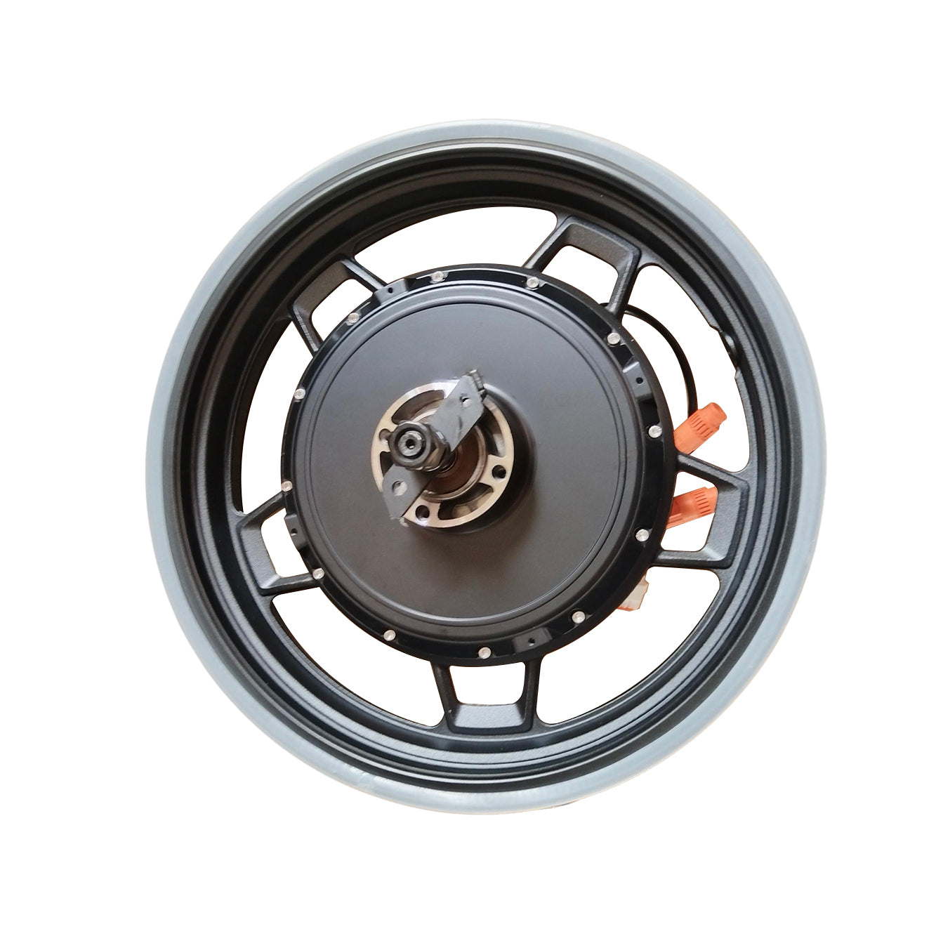 Rear Hub Motor Assy.