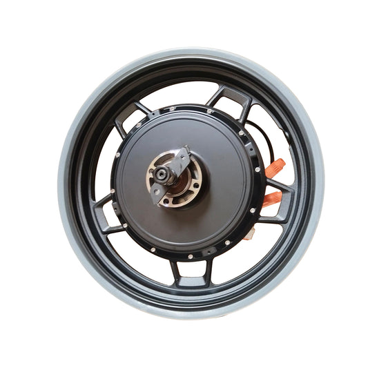 Rear Hub Motor Assy.